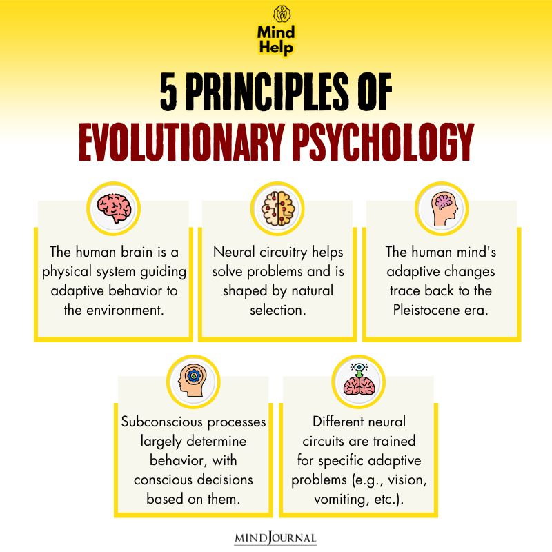 5 Principles Of Evolutionary Psychology