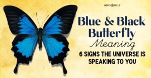 Blue and Black Butterfly Meaning: 6 Secrets You Should Know