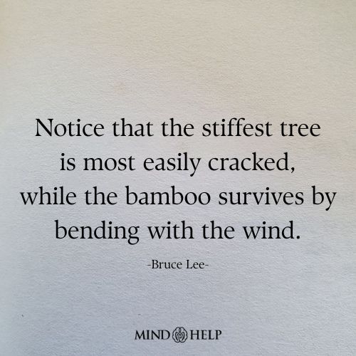 Notice the Stiffest Tree Cracks First