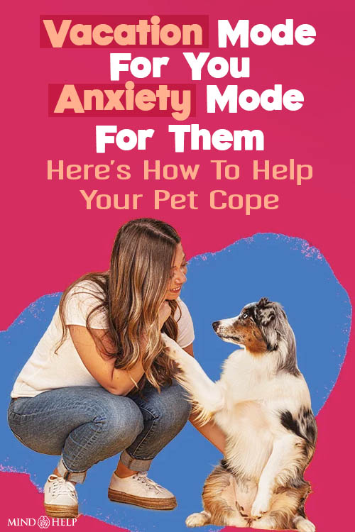 how to deal with pet separation anxiety