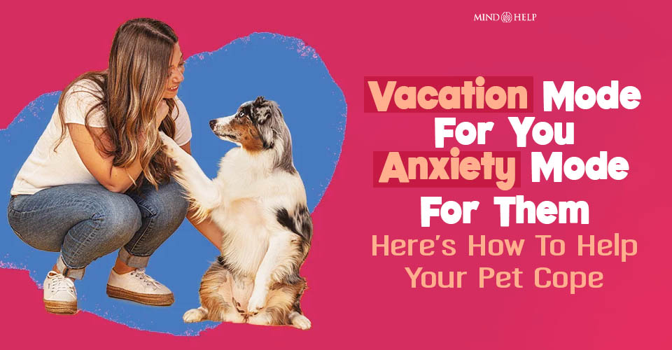 Vacation Mode For You, Anxiety Mode For Them, Here’s How To Help Your Pet Cope