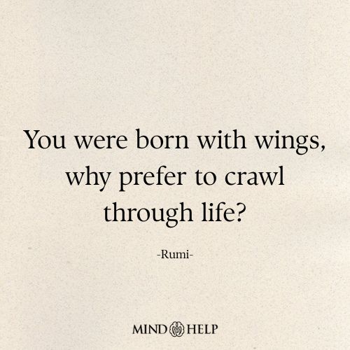 You Were Born With Wings