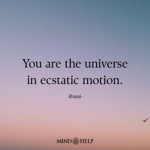 You Are the Universe in Motion