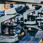 Vesugen Peptide: Potential In Cellular And Molecular Research