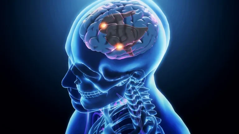 mental time travel