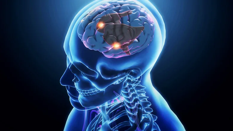 mental time travel