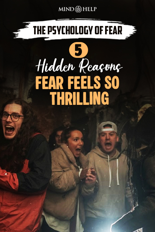 why people like fear