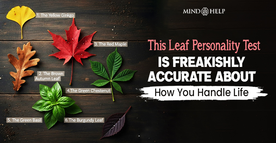 Leaf Personality Test: How You Heal Emotionally
